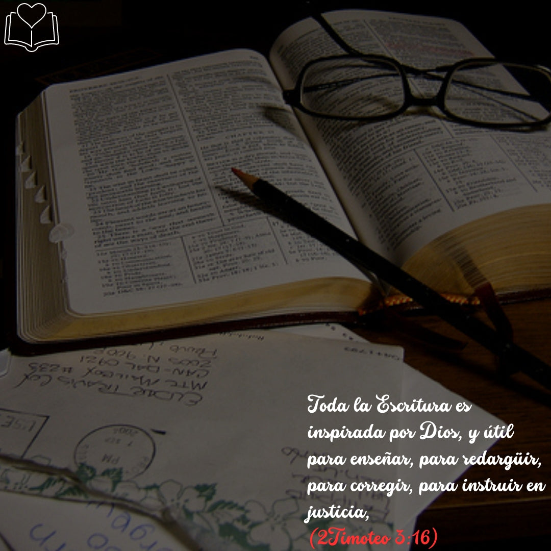 Biblias de Estudio