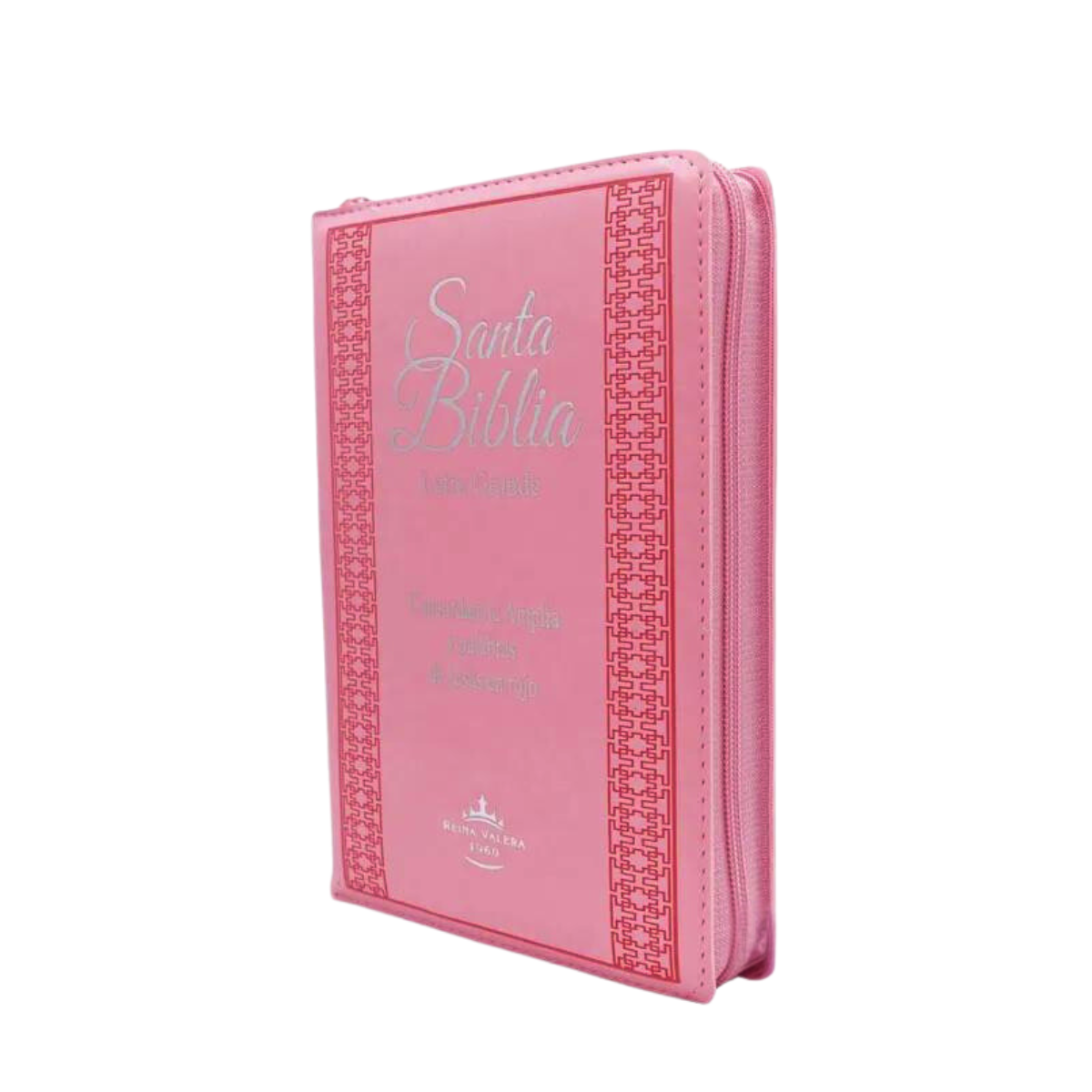 Biblia Deluxe Pink Edition - Reina Valera 1960