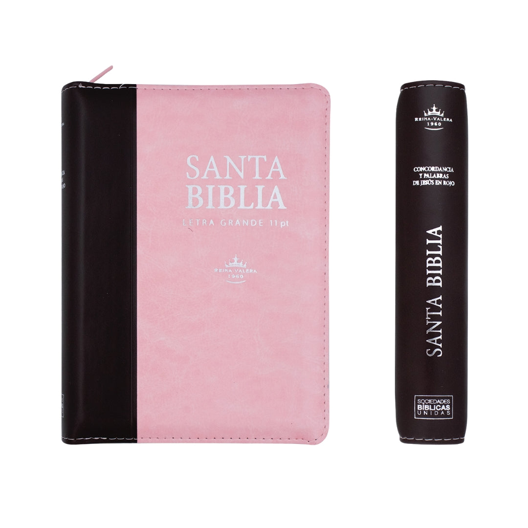 Biblia RVR1960 Letra Grande 11 puntos