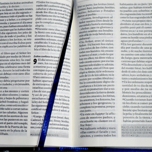 Biblia de estudio para Hombres ANDRÓS RVC